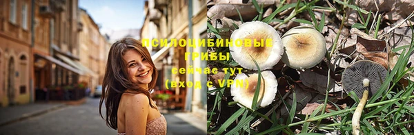 круглые Алексеевка