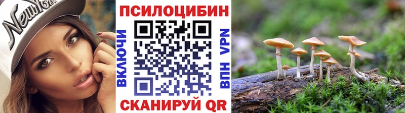 Псилоцибиновые грибы Cubensis  Красноуфимск 